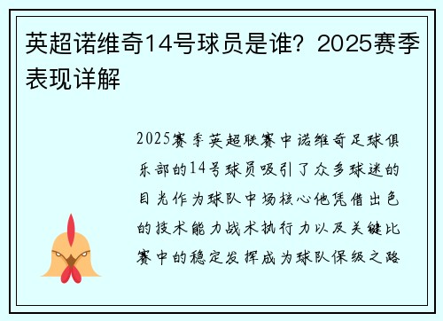 英超诺维奇14号球员是谁？2025赛季表现详解